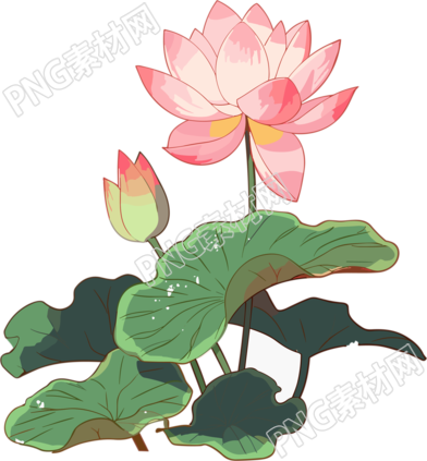 手绘扁平风格荷花插画