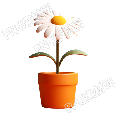 透明背景雏菊盆栽图形素材