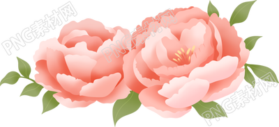粉色大气牡丹花手绘插画素材