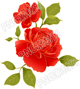 中国风红色牡丹花商用插画