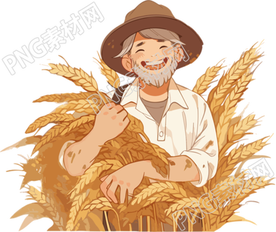 中国风黄白色大米小麦素材PNG