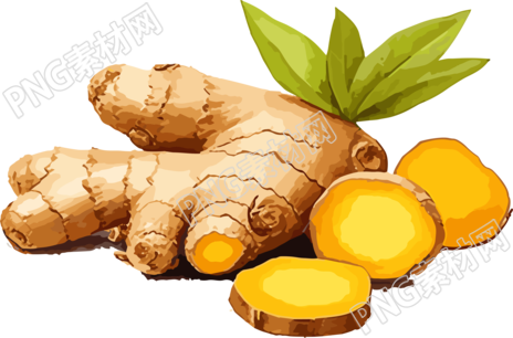 商业创意PNG生姜素材