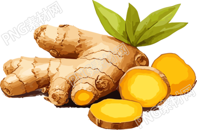 商业创意PNG生姜素材