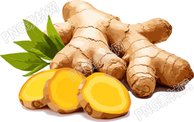 生姜商业设计PNG插画