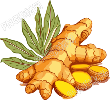 生姜高清PNG创意设计