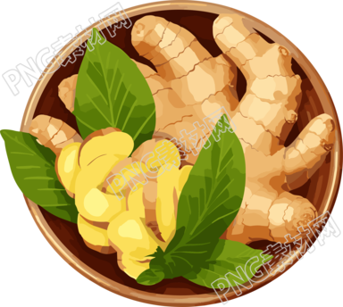 一盆生姜高清插画设计