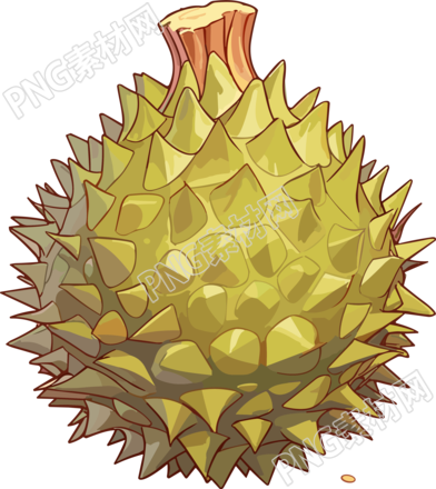 商业可用的榴莲PNG插画素材