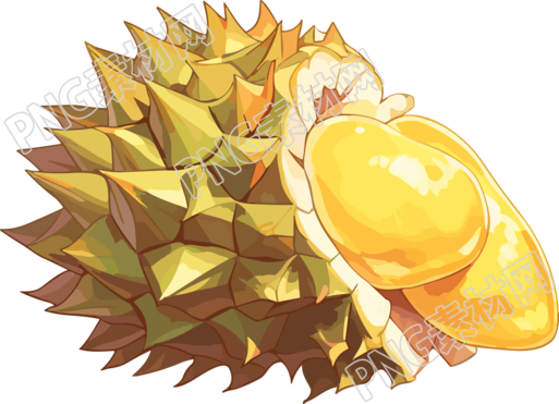 高清透明背景榴莲插画PNG