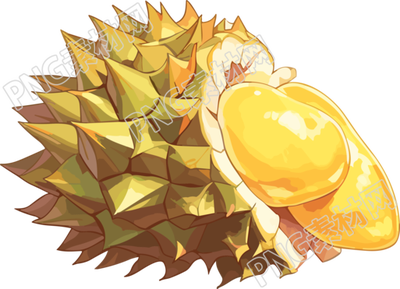 高清透明背景榴莲插画PNG