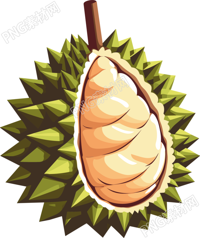 果实饱满的榴莲PNG插画素材