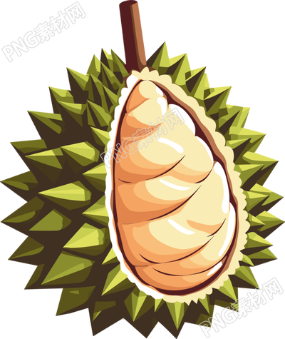 果实饱满的榴莲PNG插画素材