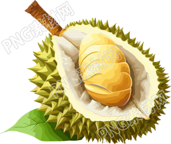 透明背景榴莲插画素材