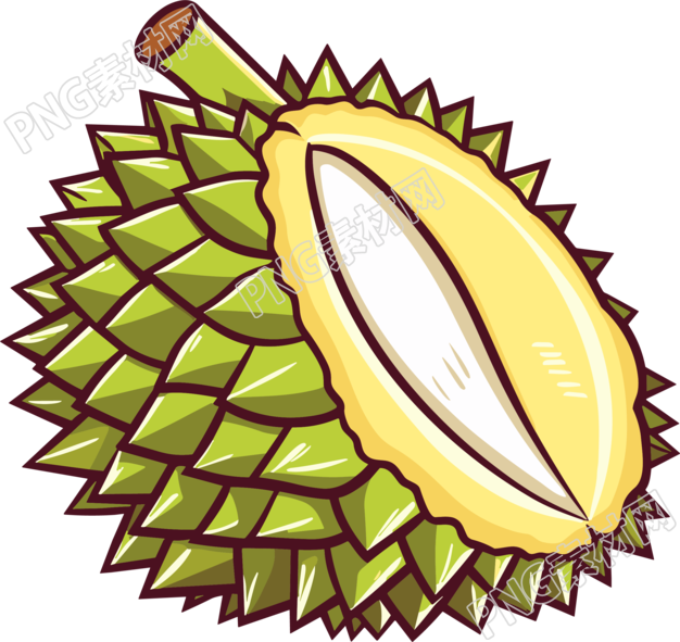 榴莲水果矢量插图