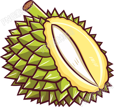 榴莲水果矢量插图