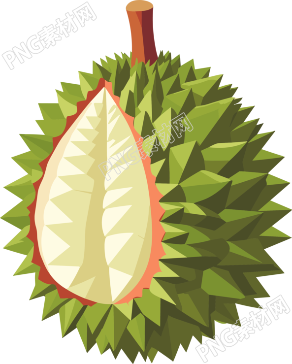白色背景榴莲插画