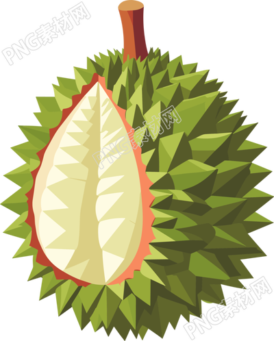 白色背景榴莲插画