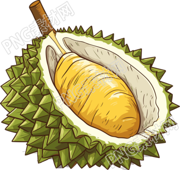 透明背景的榴莲水果插画