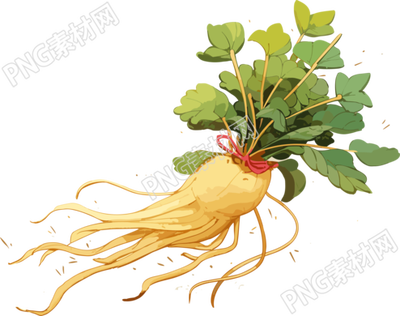 人参中草药元素