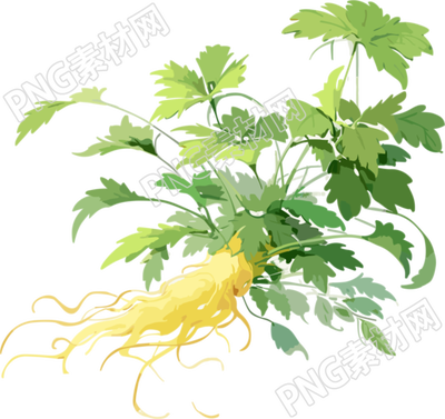 白褐色中草药元素绘画