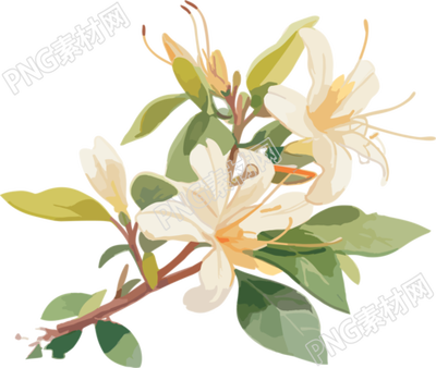 清新淡雅白花设计素材
