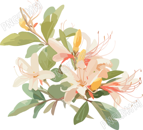 白色淡雅花朵素材