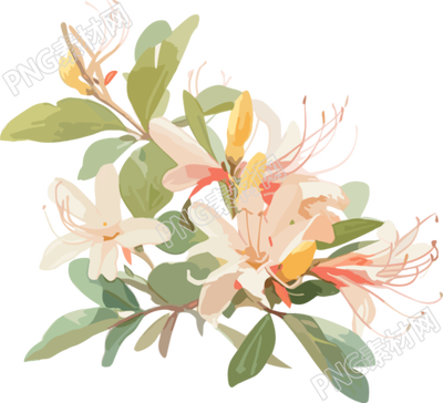 白色淡雅花朵素材