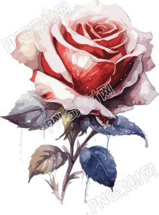一支玫瑰花插画设计元素
