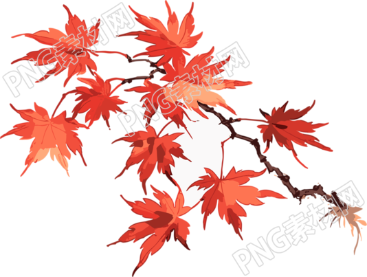 精美红枫叶插画设计元素