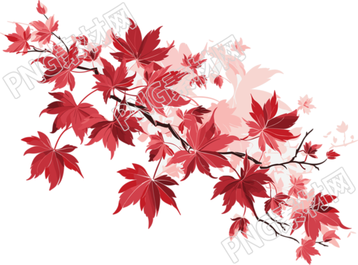 枫叶红创意设计元素