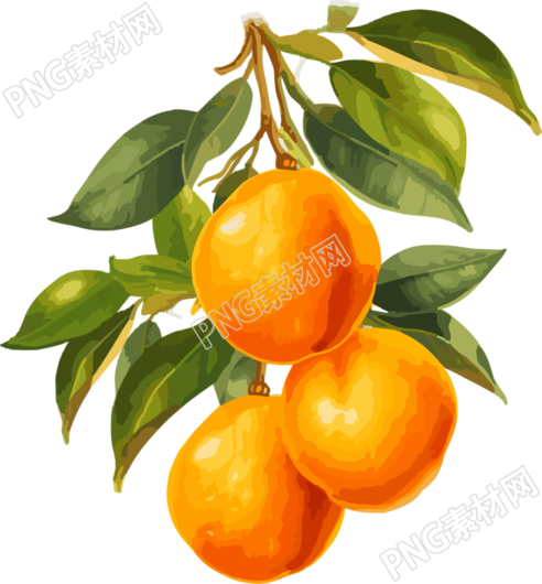 卡通风格黄橙子树枝PNG素材