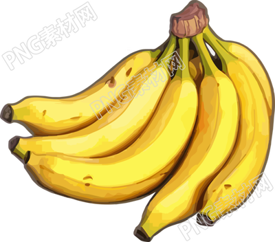 透明背景香蕉插画设计元素