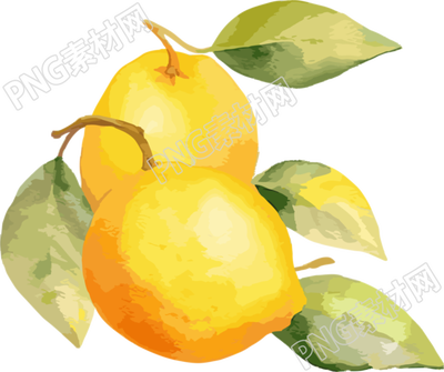 透明背景水彩柠檬插画
