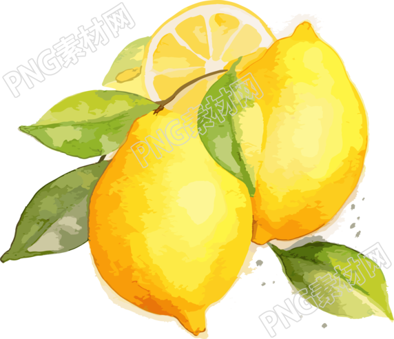 柠檬水彩插画素材