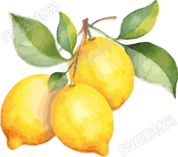 黄色柠檬水彩插画素材