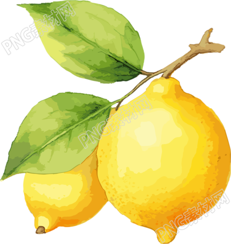 柠檬水彩插画素材素材