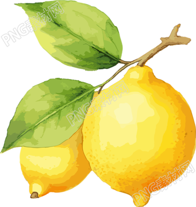 柠檬水彩插画素材素材