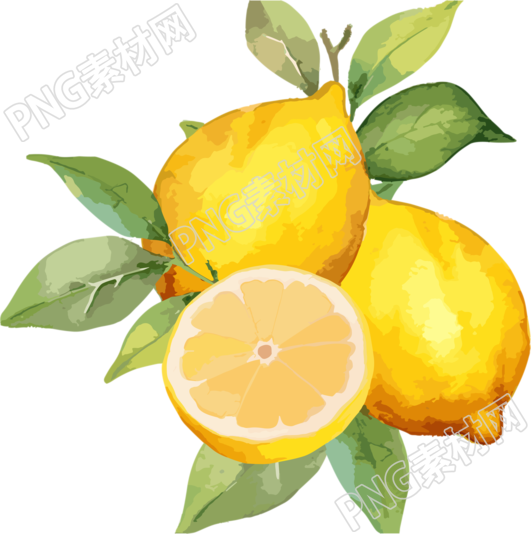 柠檬水彩插画素材