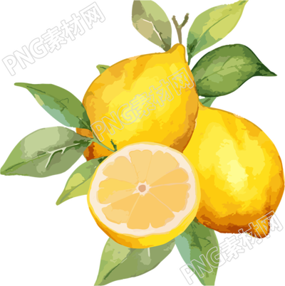 柠檬水彩插画素材