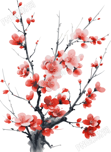 可商用红樱花枝精美插图