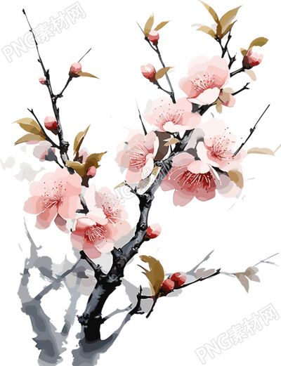 红樱枝唯美花朵简约艺术插图