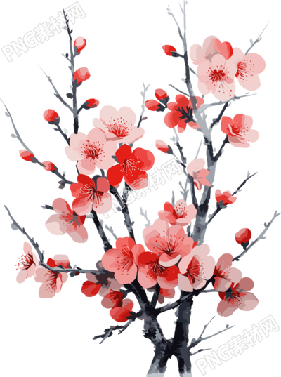 水彩画红樱花素材