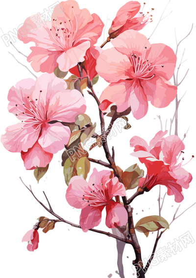 粉色花朵水彩画风格素材