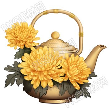 透明背景菊花和茶壶插画