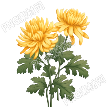 油画风格的黄色菊花素材