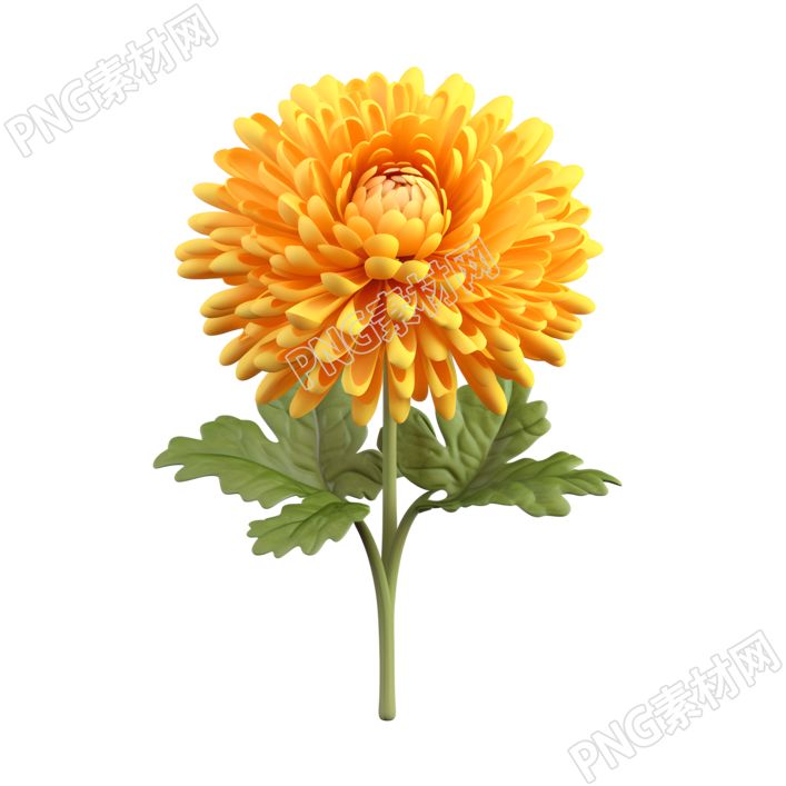 3D卡通白底黄色菊花插画设计
