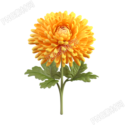 3D卡通白底黄色菊花插画设计