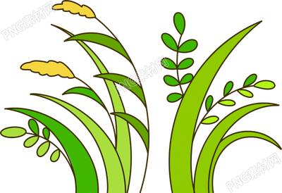 手绘粗线条植物草丛商用插图