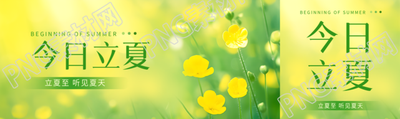 今日立夏花朵实景公众号封面图