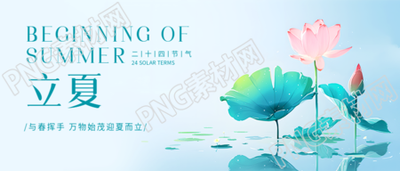 立夏时节荷叶美景微信公众号首图