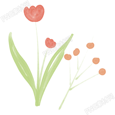 手绘简约风花卉装饰性插图